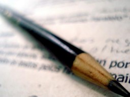 Only partial legislation texts shall be voted on a Bulgarian referendum